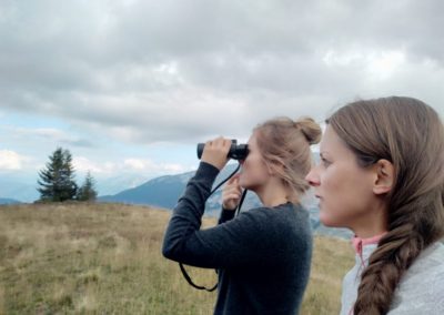 observation jumelles