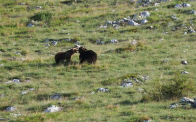 Séjours Abruzzes avril Mai 2024 Tirawa